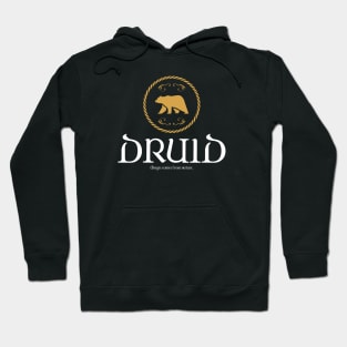 Druid Druids Magic Tabletop RPG Gaming Hoodie